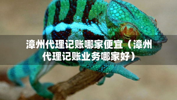 漳州代理記賬哪家便宜（漳州代理記賬業(yè)務(wù)哪家好）