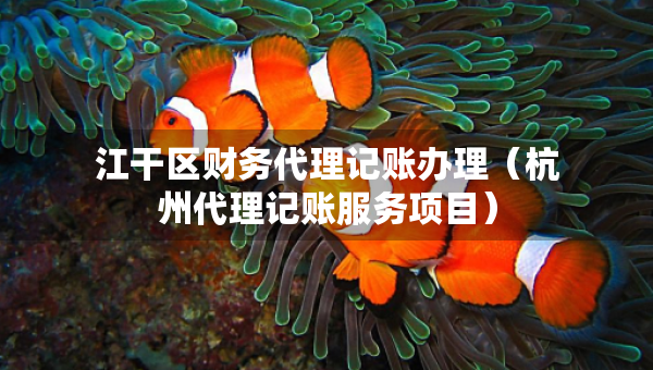 江干區(qū)財(cái)務(wù)代理記賬辦理（杭州代理記賬服務(wù)項(xiàng)目）