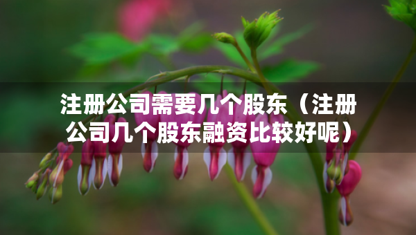 注冊(cè)公司需要幾個(gè)股東（注冊(cè)公司幾個(gè)股東融資比較好呢）