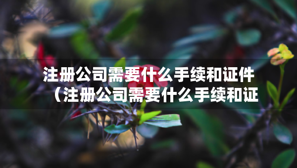 注冊(cè)公司需要什么手續(xù)和證件（注冊(cè)公司需要什么手續(xù)和證件7年內(nèi)）