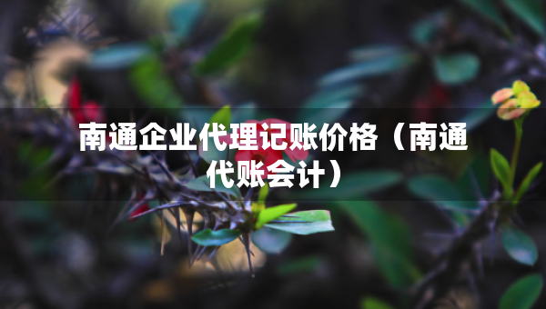 南通企業(yè)代理記賬價格（南通代賬會計）