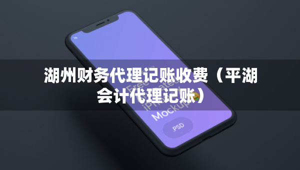 湖州財(cái)務(wù)代理記賬收費(fèi)（平湖會計(jì)代理記賬）