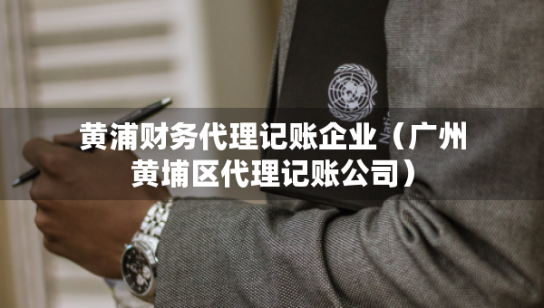 黃浦財務(wù)代理記賬企業(yè)（廣州黃埔區(qū)代理記賬公司）