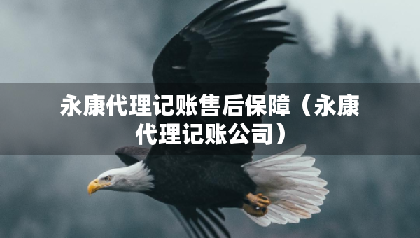 永康代理記賬售后保障（永康代理記賬公司）