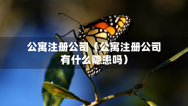公寓注冊公司（公寓注冊公司有什么隱患嗎）