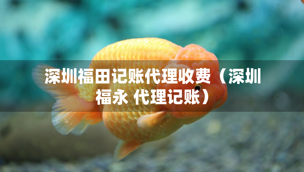 深圳福田記賬代理收費(fèi)（深圳福永 代理記賬）
