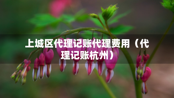 上城區(qū)代理記賬代理費用（代理記賬杭州）