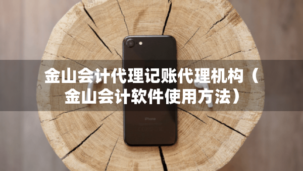 金山會計代理記賬代理機構（金山會計軟件使用方法）