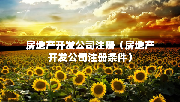 房地產(chǎn)開發(fā)公司注冊（房地產(chǎn)開發(fā)公司注冊條件）