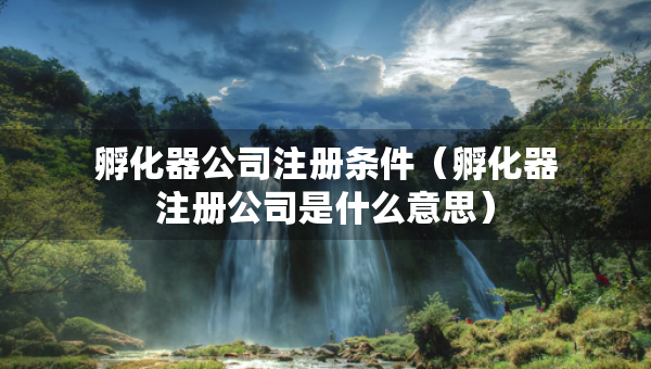 孵化器公司注冊條件（孵化器注冊公司是什么意思）