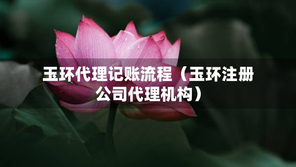 玉環(huán)代理記賬流程（玉環(huán)注冊(cè)公司代理機(jī)構(gòu)）