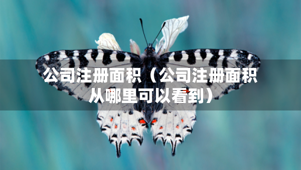 公司注冊(cè)面積（公司注冊(cè)面積從哪里可以看到）
