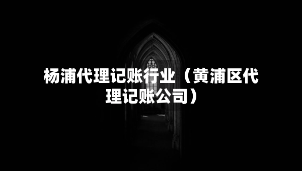 楊浦代理記賬行業(yè)（黃浦區(qū)代理記賬公司）