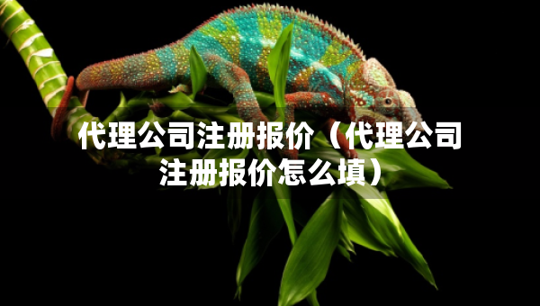 代理公司注冊(cè)報(bào)價(jià)（代理公司注冊(cè)報(bào)價(jià)怎么填）