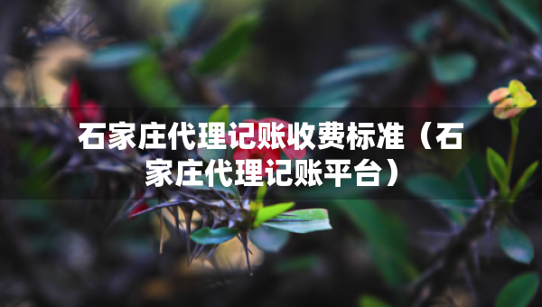 石家莊代理記賬收費(fèi)標(biāo)準(zhǔn)（石家莊代理記賬平臺）