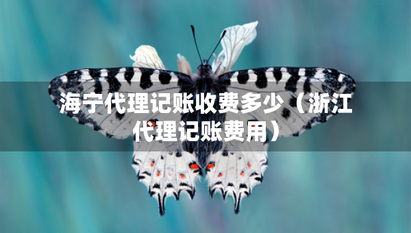 海寧代理記賬收費(fèi)多少（浙江代理記賬費(fèi)用）