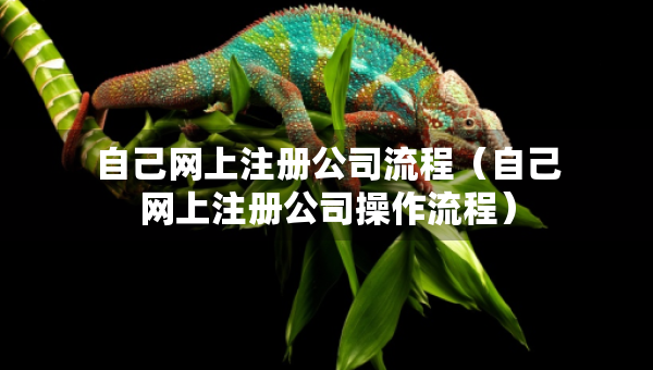 自己網(wǎng)上注冊(cè)公司流程（自己網(wǎng)上注冊(cè)公司操作流程）