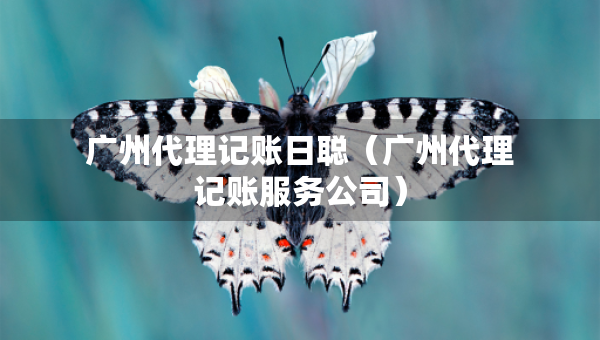 廣州代理記賬日聰（廣州代理記賬服務(wù)公司）