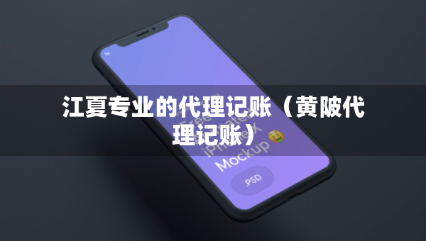 江夏專業(yè)的代理記賬（黃陂代理記賬）