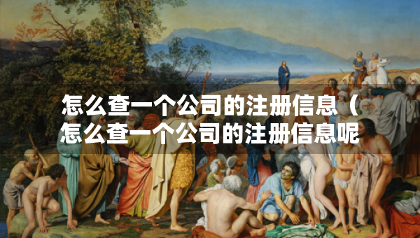 怎么查一個(gè)公司的注冊信息（怎么查一個(gè)公司的注冊信息呢）