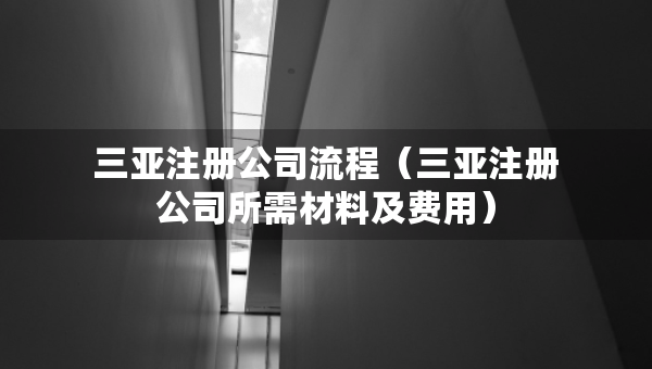 三亞注冊(cè)公司流程（三亞注冊(cè)公司所需材料及費(fèi)用）