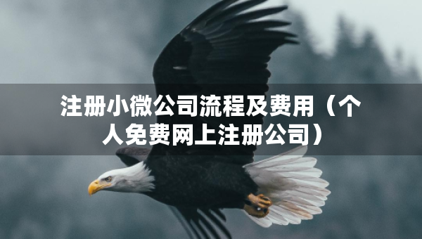 注冊(cè)小微公司流程及費(fèi)用（個(gè)人免費(fèi)網(wǎng)上注冊(cè)公司）