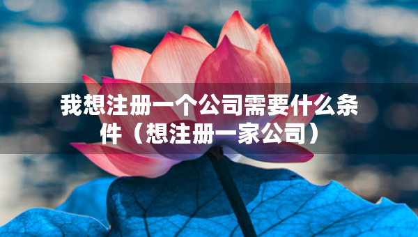 我想注冊一個公司需要什么條件（想注冊一家公司）