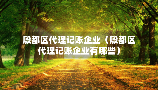 殷都區(qū)代理記賬企業(yè)（殷都區(qū)代理記賬企業(yè)有哪些）