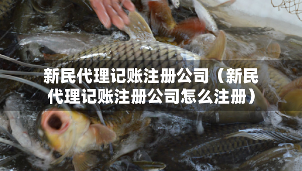 新民代理記賬注冊(cè)公司（新民代理記賬注冊(cè)公司怎么注冊(cè)）
