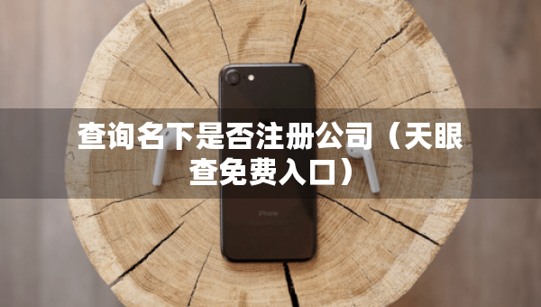 查詢名下是否注冊公司（天眼查免費入口）