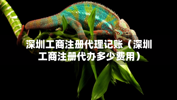 深圳工商注冊(cè)代理記賬（深圳工商注冊(cè)代辦多少費(fèi)用）