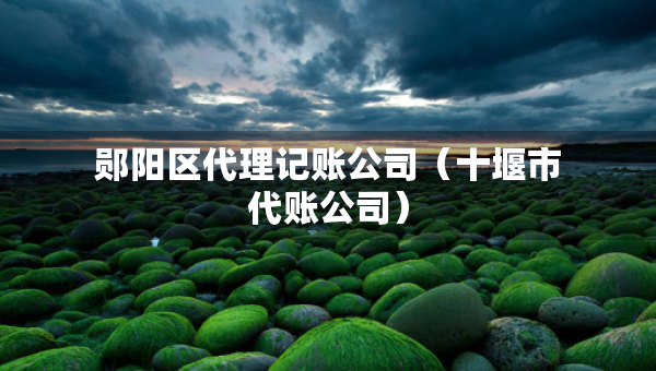 鄖陽區(qū)代理記賬公司（十堰市代賬公司）