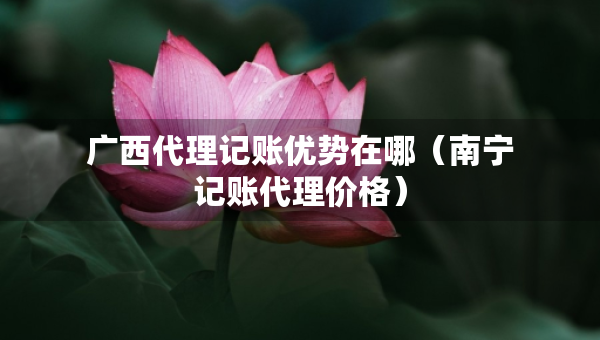 廣西代理記賬優(yōu)勢(shì)在哪（南寧記賬代理價(jià)格）