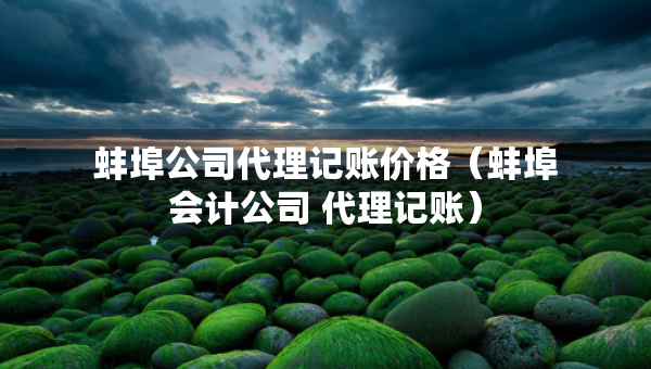 蚌埠公司代理記賬價(jià)格（蚌埠會(huì)計(jì)公司 代理記賬）