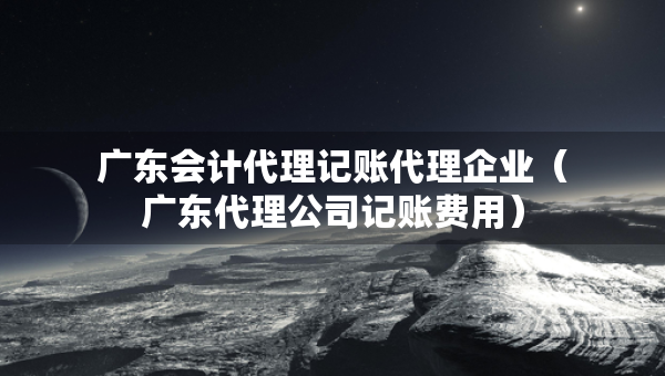廣東會計(jì)代理記賬代理企業(yè)（廣東代理公司記賬費(fèi)用）