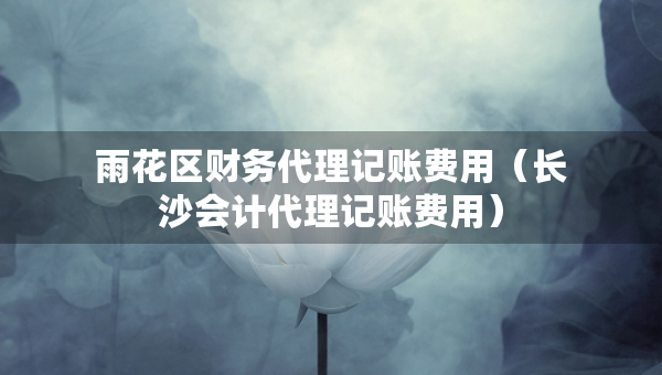 雨花區(qū)財務代理記賬費用（長沙會計代理記賬費用）