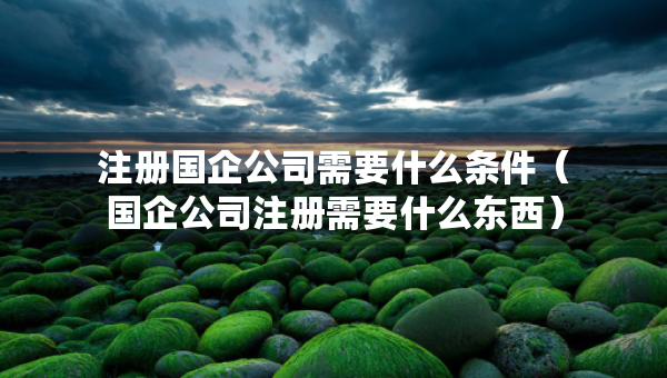 注冊(cè)國(guó)企公司需要什么條件（國(guó)企公司注冊(cè)需要什么東西）