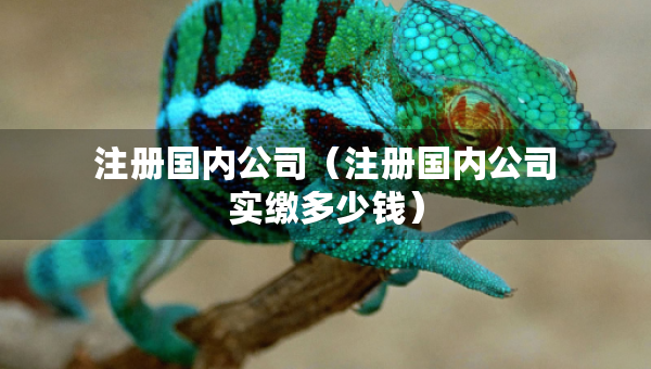注冊國內(nèi)公司（注冊國內(nèi)公司實(shí)繳多少錢）