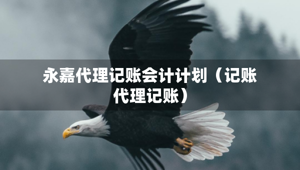 永嘉代理記賬會計計劃（記賬代理記賬）