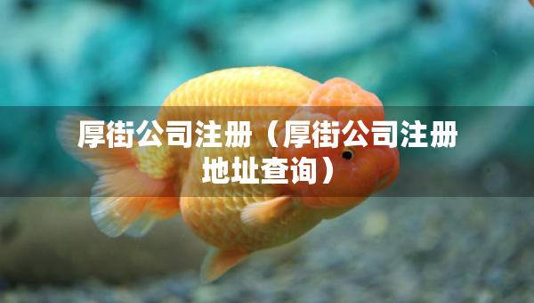 厚街公司注冊（厚街公司注冊地址查詢）