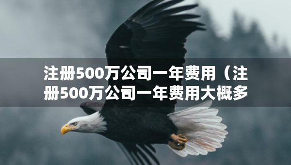 注冊(cè)500萬(wàn)公司一年費(fèi)用（注冊(cè)500萬(wàn)公司一年費(fèi)用大概多少）