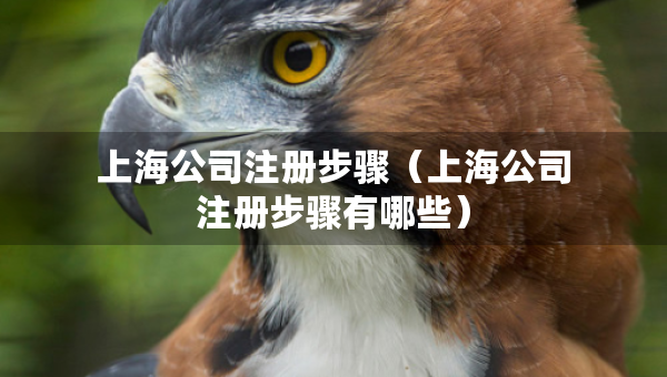 上海公司注冊(cè)步驟（上海公司注冊(cè)步驟有哪些）