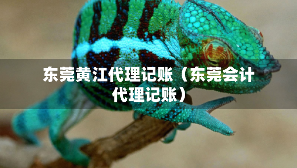 東莞黃江代理記賬（東莞會(huì)計(jì)代理記賬）