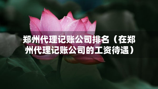 鄭州代理記賬公司排名（在鄭州代理記賬公司的工資待遇）