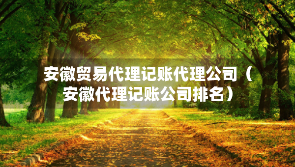 安徽貿(mào)易代理記賬代理公司（安徽代理記賬公司排名）