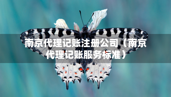 南京代理記賬注冊公司（南京代理記賬服務標準）