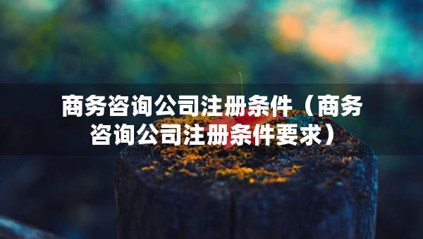 商務(wù)咨詢公司注冊條件（商務(wù)咨詢公司注冊條件要求）
