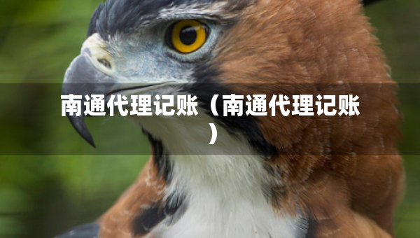 南通代理記賬（南通代理記賬）