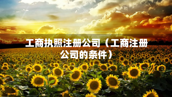 工商執(zhí)照注冊公司（工商注冊公司的條件）