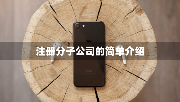 注冊(cè)分子公司的簡單介紹